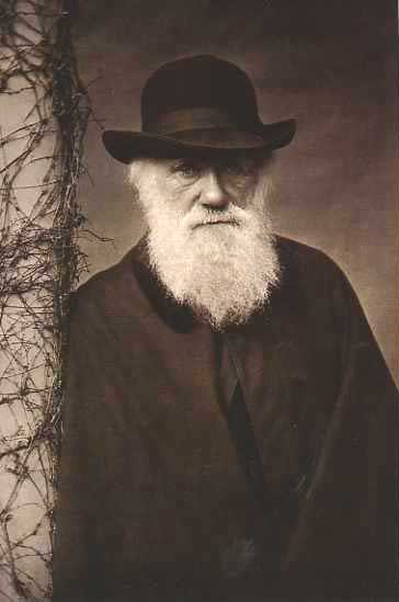 Darwin Foto